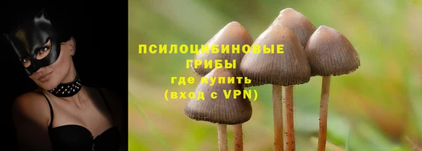 таблы Надым