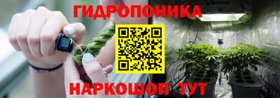 эйфоретик Волгодонск