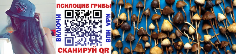 Псилоцибиновые грибы ЛСД  Югорск 