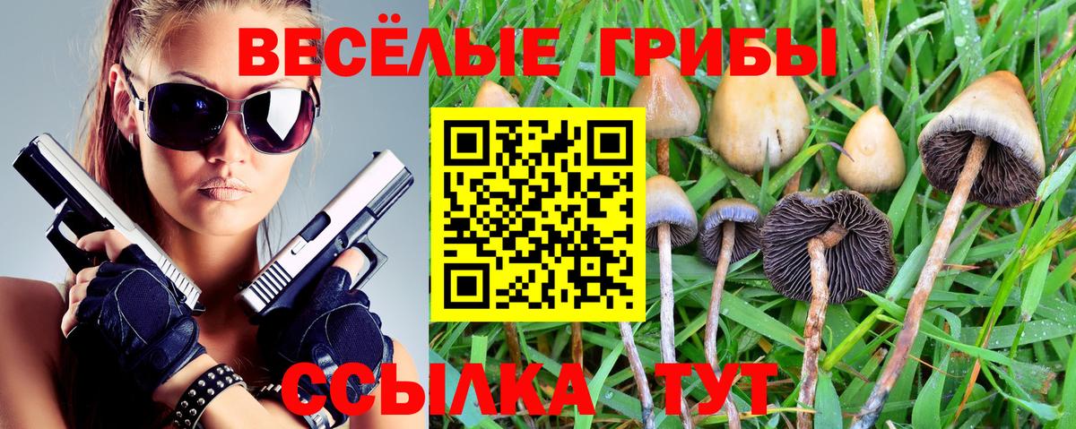 Галлюциногенные грибы Magic Shrooms  Галлюциногенные грибы Magic Shrooms  Югорск 